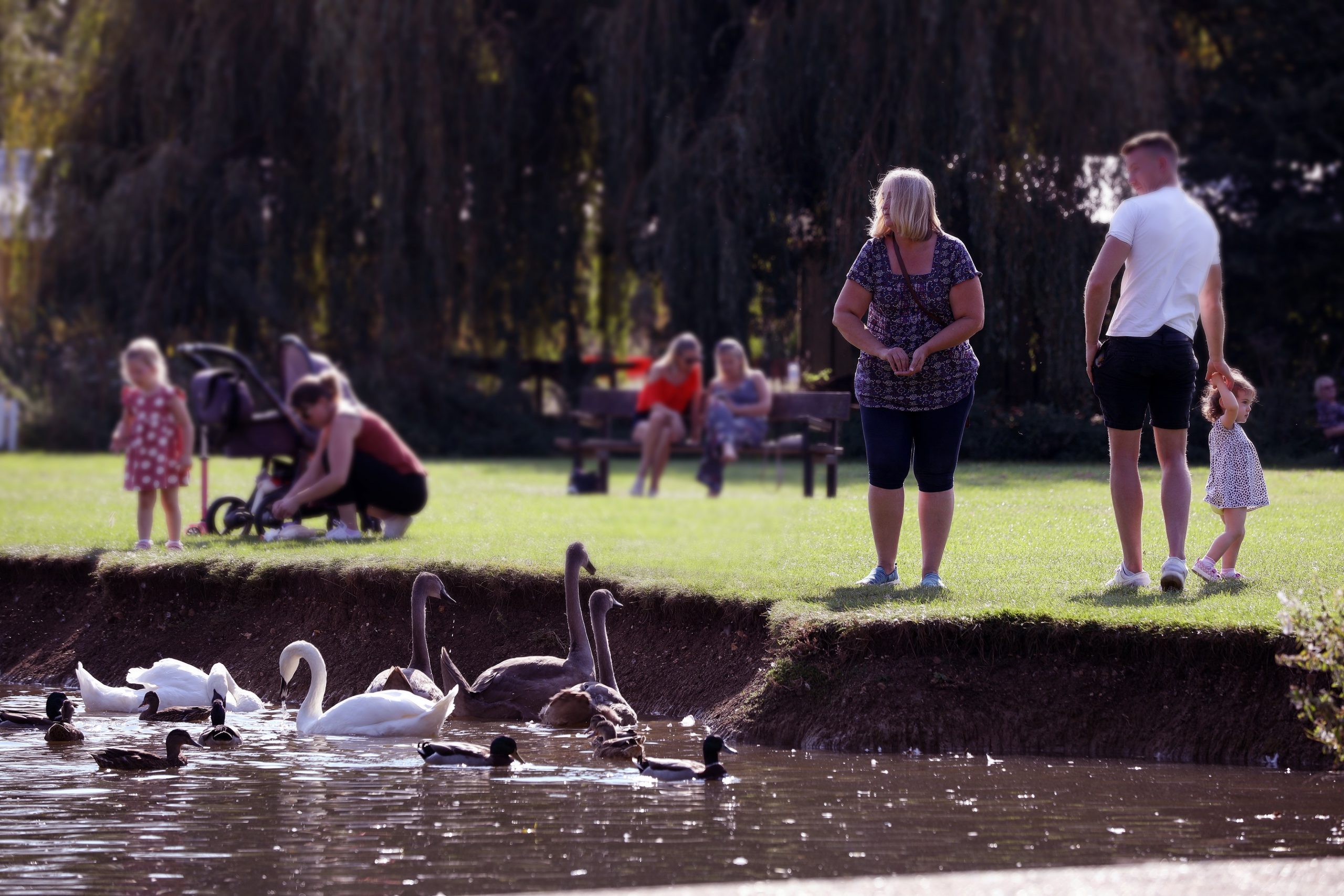 St Neots Riverside Park