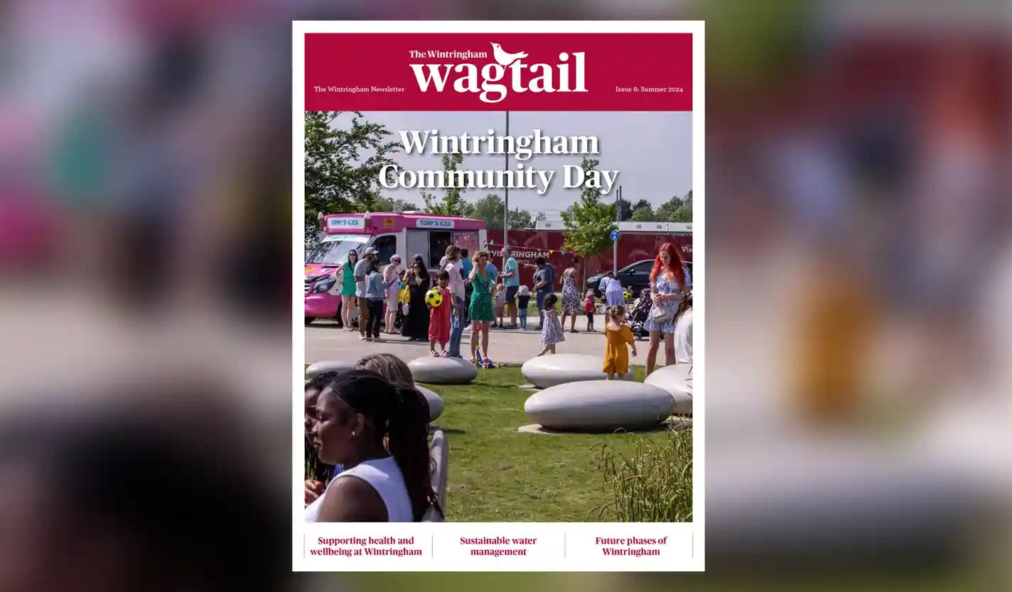 Featured image for “The Wintringham Wagtail Newsletter Summer 2024”