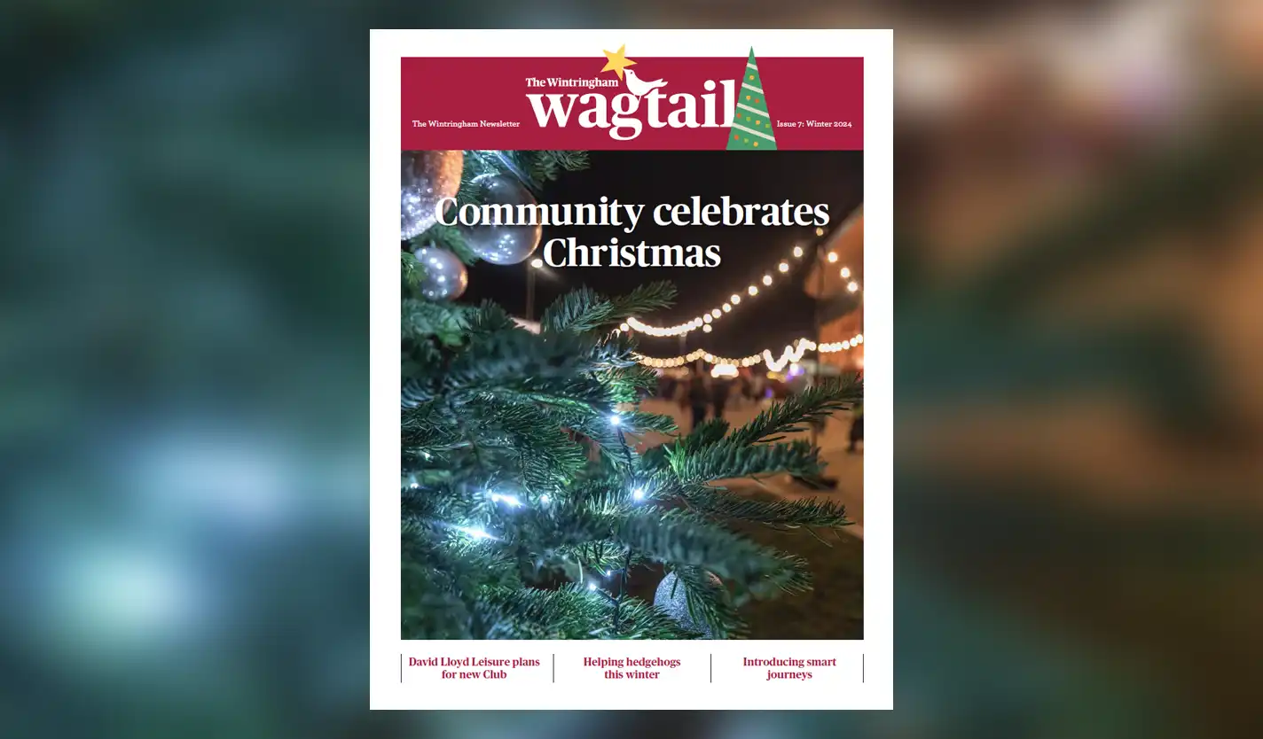 Featured image for “The Wintringham Wagtail Newsletter Winter 2024”