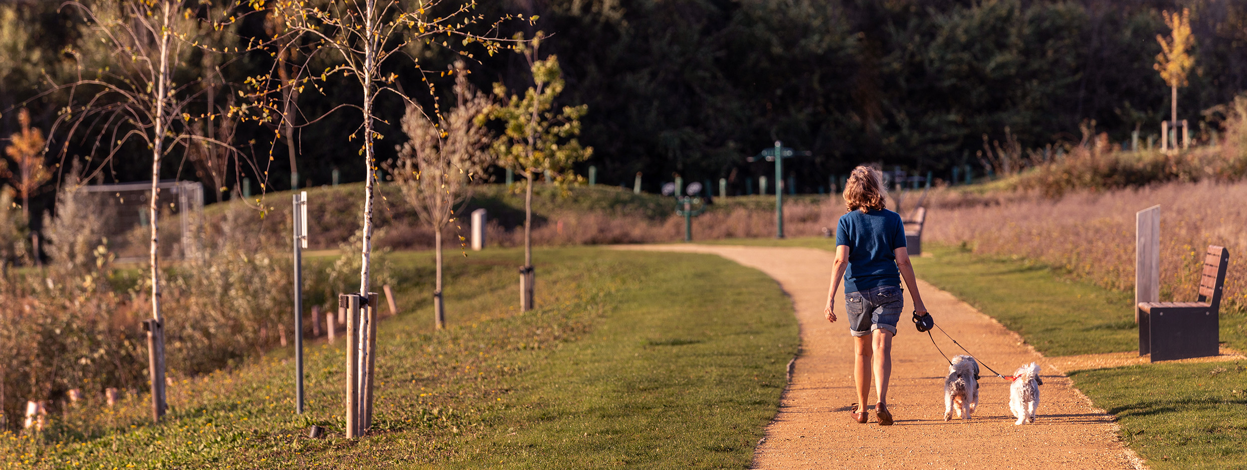 A person walking her dogs