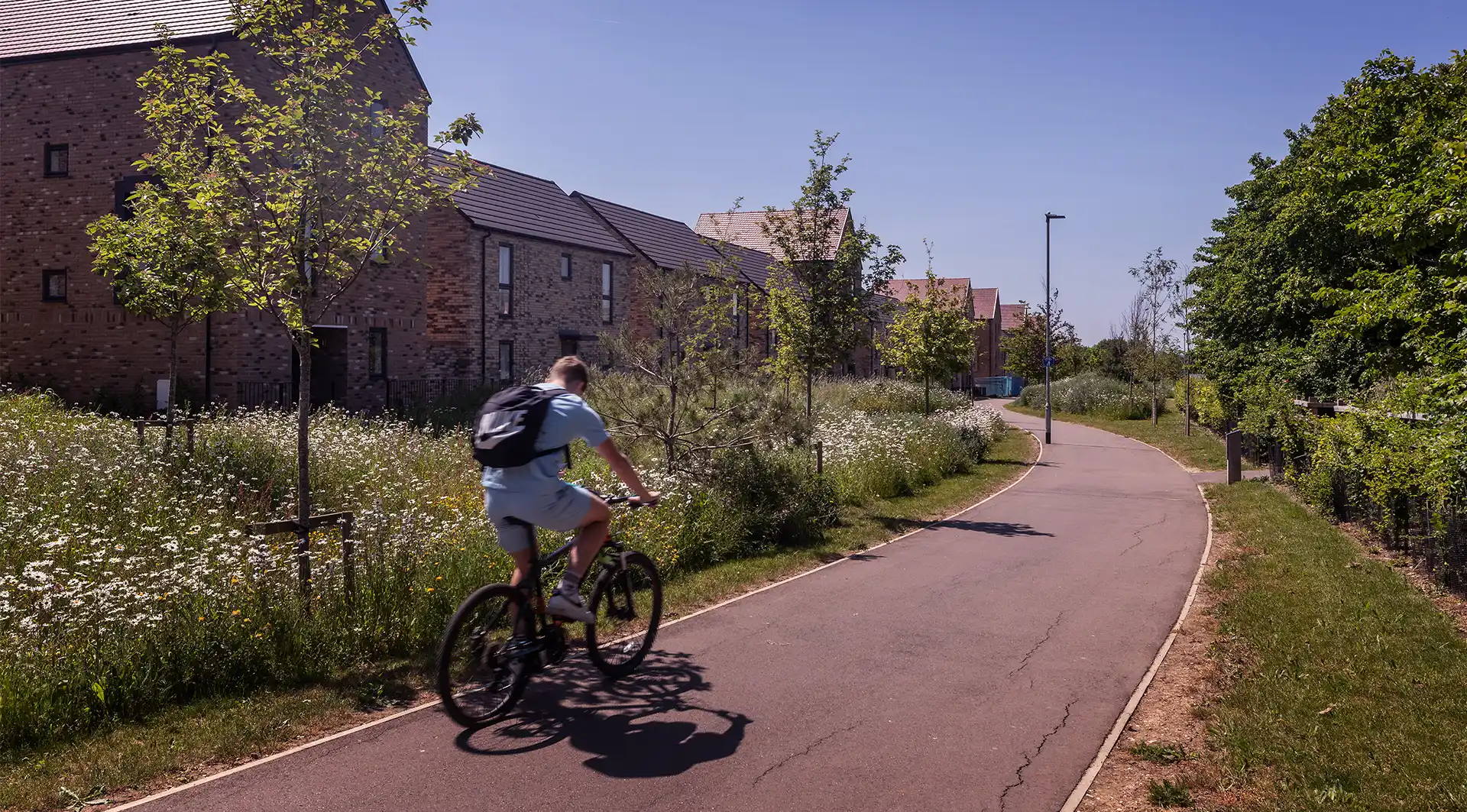 Cyclist tree-lined cycle path at Wintrignham