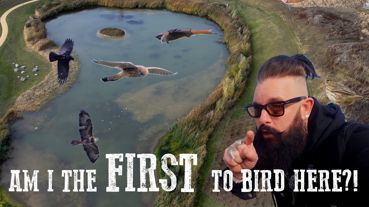 Am I the first to Bird Here?!